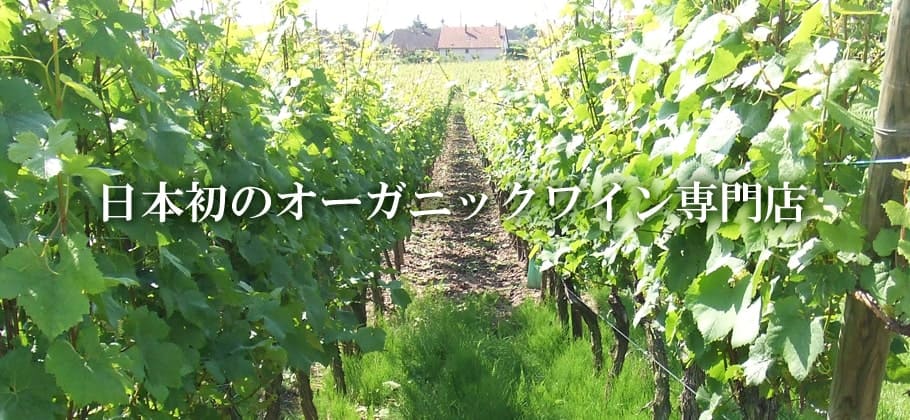 日本初のオーガニックワイン専門店マヴィ｜MAVIE